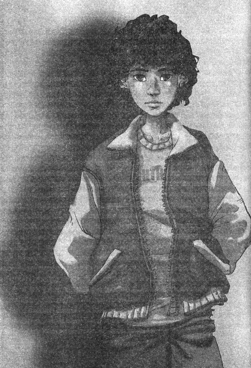 Джено и белая руна золотого сокола Джено и белая руна золотого сокола