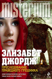 Преследование праведного грешника - Элизабет Джордж