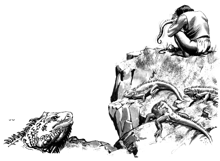 Легенды. Приключения и сражения Легенды. Приключения и сражения