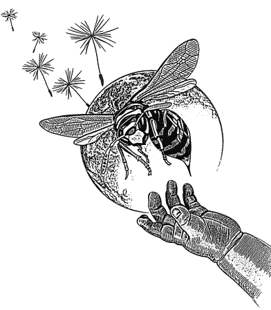 Утерянный рай Утерянный рай