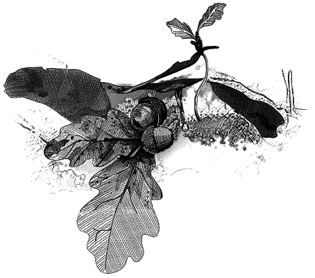 Утерянный рай Утерянный рай