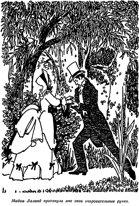 Золотой жук Золотой жук