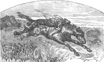 Похитители бриллиантов - Луи Буссенар