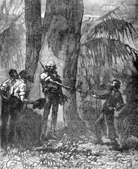 Похитители бриллиантов - Луи Буссенар