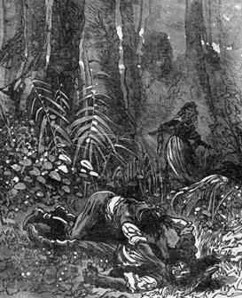 Похитители бриллиантов - Луи Буссенар