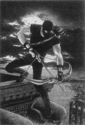 Дикие карты Дикие карты