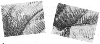 Анатомия страха Анатомия страха