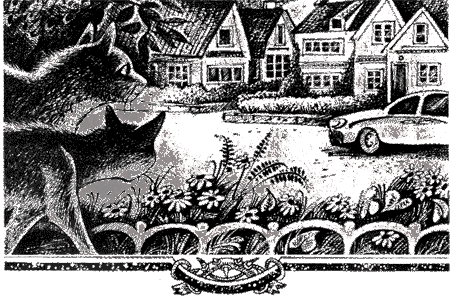 Судьба Небесного племени. Решение Судьба Небесного племени. Решение