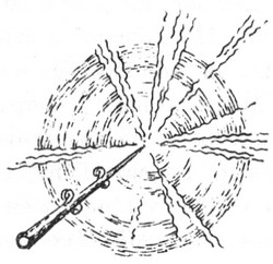 Ловушка для волшебников Ловушка для волшебников