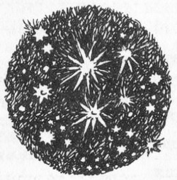 Ловушка для волшебников Ловушка для волшебников