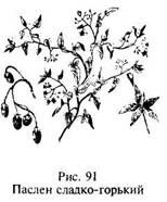 Школа выживания в природных условиях Школа выживания в природных условиях