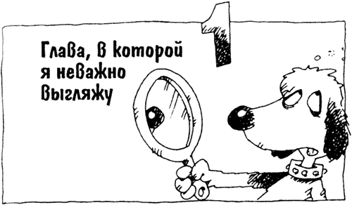 Суперсыщик Освальд Суперсыщик Освальд