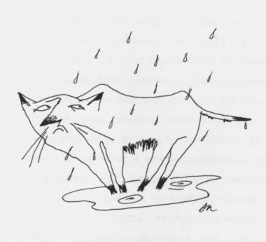 Живые истории Живые истории