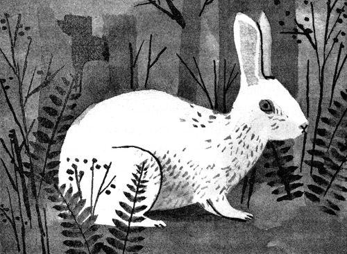 Подземелья Дикого леса Подземелья Дикого леса