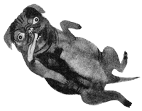 Подземелья Дикого леса Подземелья Дикого леса