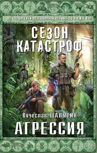 Агрессия - Вячеслав Шалыгин