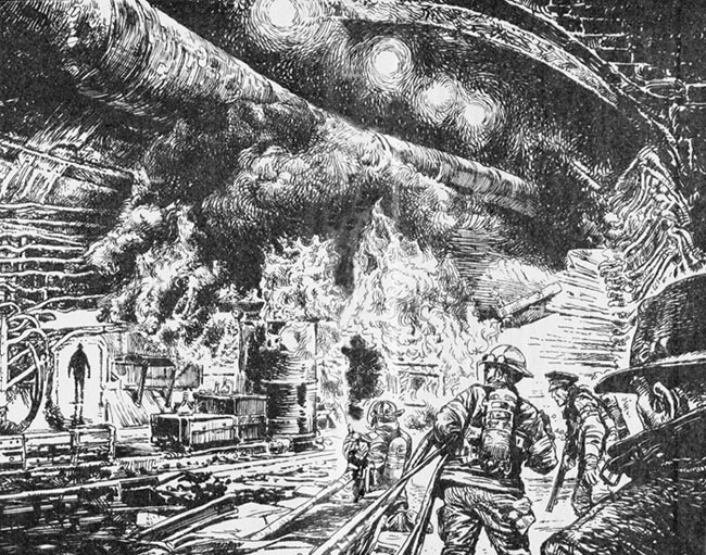 Дивизионный комиссар Дивизионный комиссар