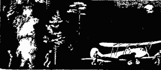 Медная пуговица