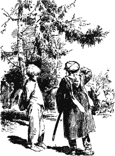 Сын полка - Катаев Валентин Петрович