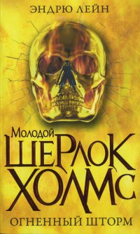 Огненный шторм - Эндрю Лейн