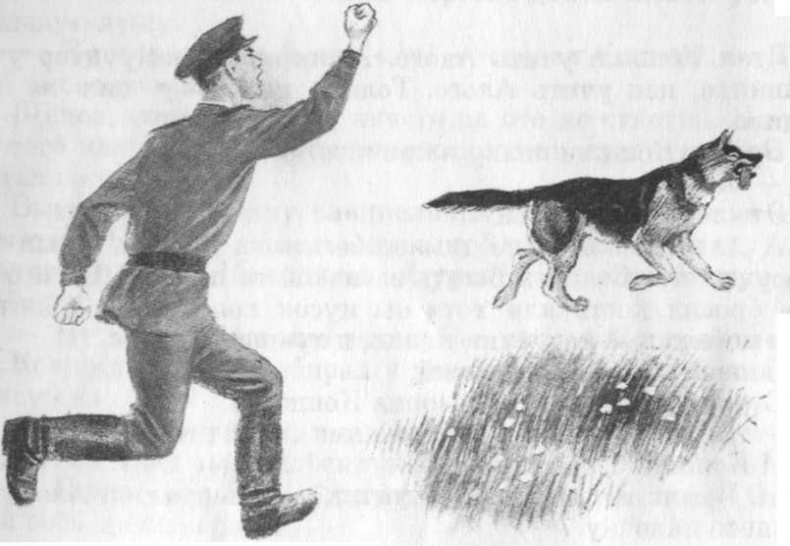 Кепка с карасями Кепка с карасями