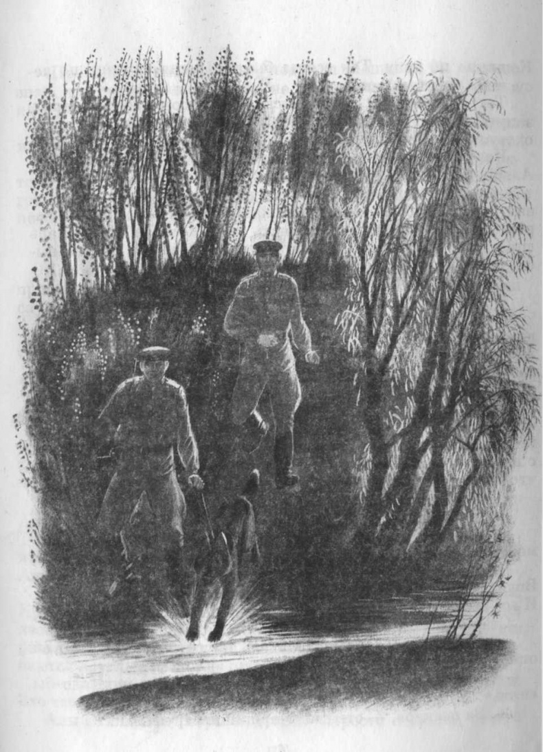 Кепка с карасями Кепка с карасями