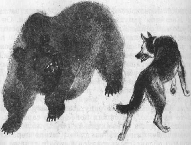 Кепка с карасями Кепка с карасями