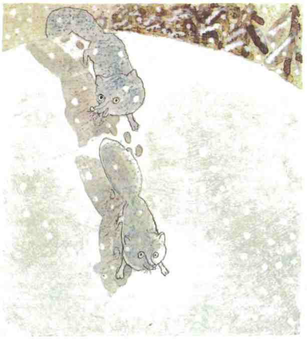 Недопёсок Недопёсок