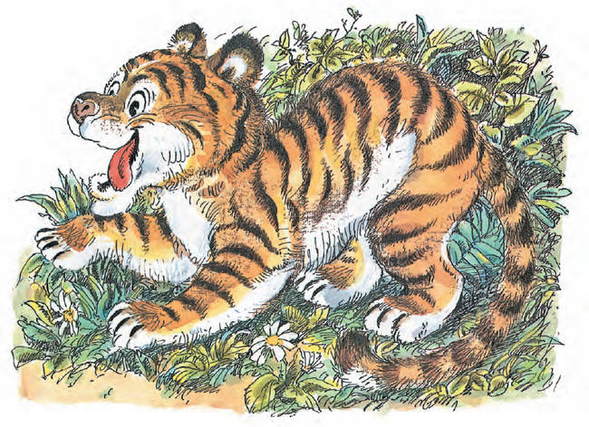 Сказка про Зелёную Лошадь Сказка про Зелёную Лошадь