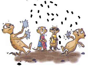 Сурикаты-сумасброды. Невероятно смешные приключения в пустыне Сурикаты-сумасброды. Невероятно смешные приключения в пустыне