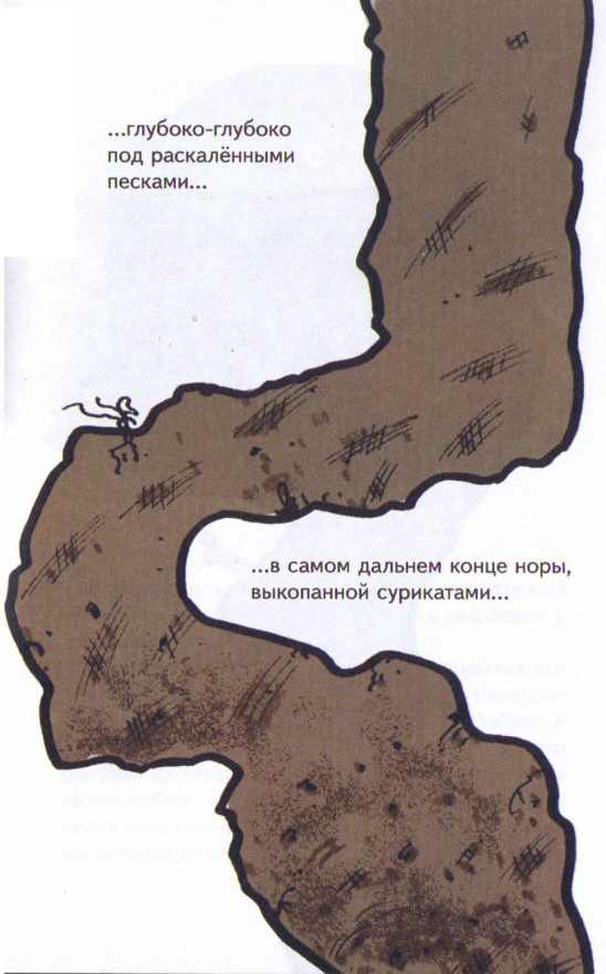 Сурикаты-сумасброды. Невероятно смешные приключения в пустыне Сурикаты-сумасброды. Невероятно смешные приключения в пустыне