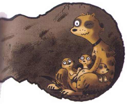 Сурикаты-сумасброды. Невероятно смешные приключения в пустыне Сурикаты-сумасброды. Невероятно смешные приключения в пустыне