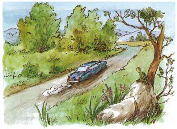 Дракоша выходит в люди Дракоша выходит в люди