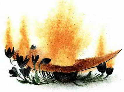 Самые страшные ужасы Самые страшные ужасы