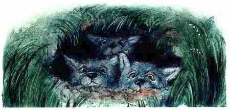 Ужастики Ужастики