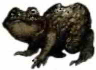 Ужастики Ужастики