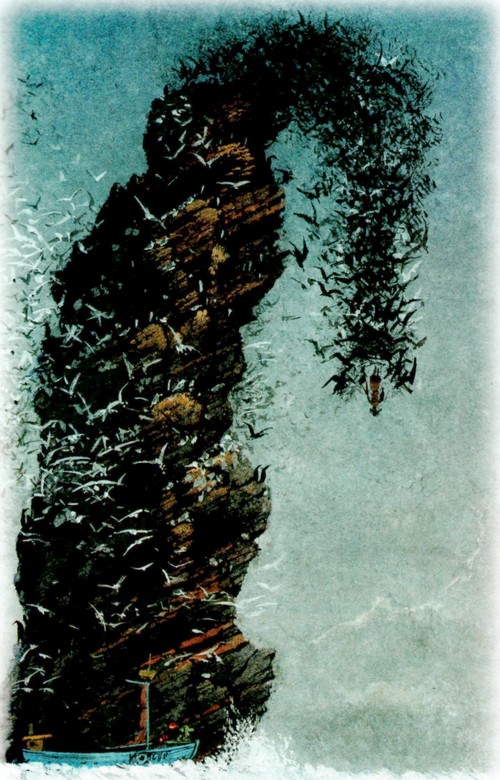 Приключения «Котобоя» Приключения «Котобоя»