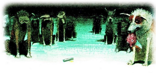 Приключения «Котобоя» Приключения «Котобоя»