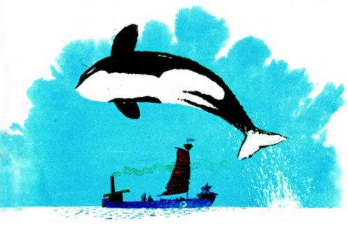 Приключения «Котобоя» Приключения «Котобоя»