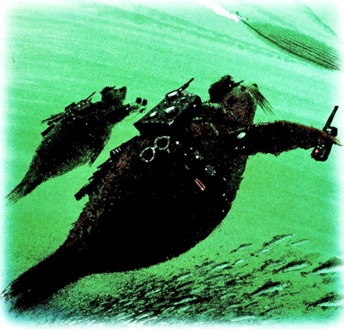 Приключения «Котобоя» Приключения «Котобоя»