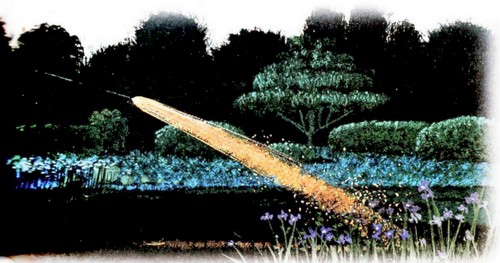 Приключения «Котобоя» Приключения «Котобоя»