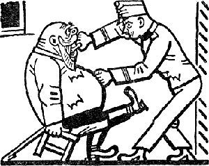 Похождения бравого солдата Швейка - Гашек Ярослав