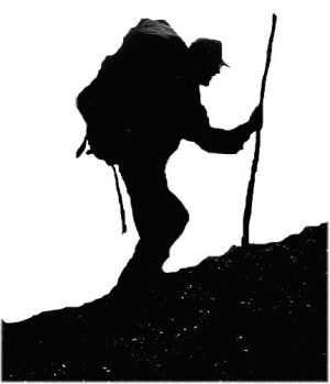 Мохнатый бог Мохнатый бог