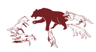 Мохнатый бог Мохнатый бог