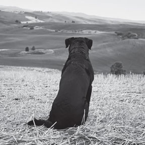 Жена-22 Жена-22