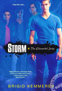 Буря - Бриджид Кеммерер