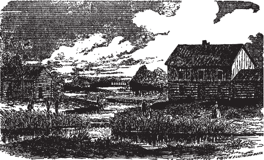 Банды Чикаго Банды Чикаго