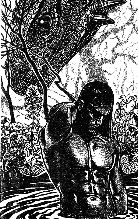 Дураков здесь нет! или Приключения дракоши Дураков здесь нет! или Приключения дракоши