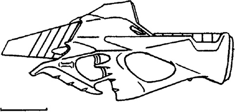 Кей Дач Кей Дач