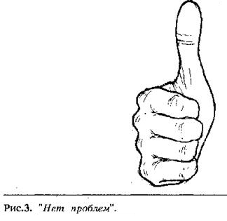 Язык телодвижений. Как читать мысли окружающих по их жестам - Аллан Пиз, Барбара Пиз